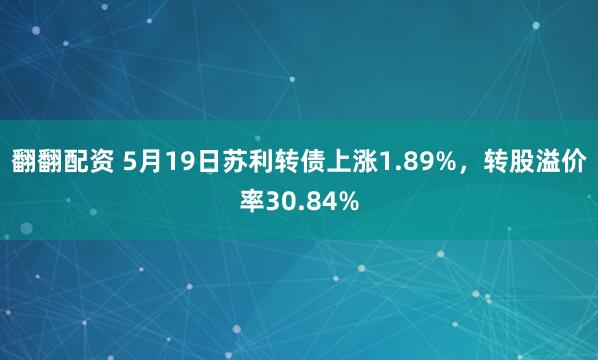 翻翻配资 5月19日苏利转债上涨1.89%，转股溢价率30.84%