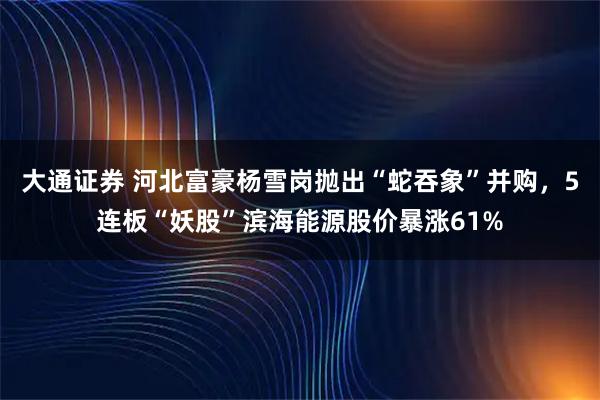 大通证券 河北富豪杨雪岗抛出“蛇吞象”并购，5连板“妖股”滨海能源股价暴涨61%